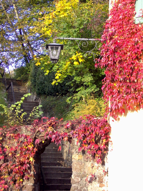 Auf in den goldenen Herbst